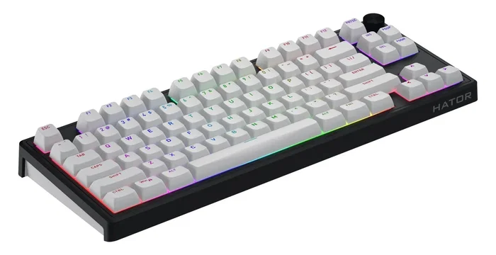 Hator Skyfall 80 Wireless Teclado Mecánico Inalámbrico Blanco-Negro Layout Polaco Hator Skyfall 80 Wireless Teclado Mecánico Inalámbrico Blanco-Negro Layout Polaco