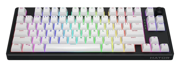 Hator Skyfall 80 Wireless Teclado Mecánico Inalámbrico Blanco-Negro Layout Polaco Hator Skyfall 80 Wireless Teclado Mecánico Inalámbrico Blanco-Negro Layout Polaco