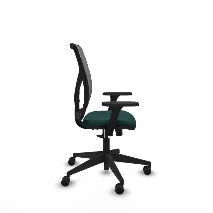 PIQUERAS Y CRESPO Silla de oficina Motilla con mecanismo Sincro, Verde botella y Gris PIQUERAS Y CRESPO Silla de oficina Motilla con mecanismo Sincro, Verde botella y Gris