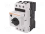 LOVATO ELECTRIC Interruptor motorizado 4÷6,5A 230÷690VAC