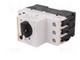 LOVATO ELECTRIC Interruptor motorizado 4÷6,5A 230÷690VAC