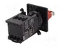 SCHNEIDER ELECTRIC TeSys mini-VARIO VCDN20 Seccionador de Seguridad 3 Polos 20A