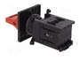 SCHNEIDER ELECTRIC TeSys mini-VARIO VCDN20 Seccionador de Seguridad 3 Polos 20A
