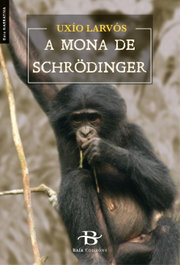 A mona de Schrödinger, Xosé Sobral Amoedo - BAIA