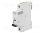 SCHNEIDER ELECTRIC Interruptor magnetotérmico iC60N 20A 1P Curva C