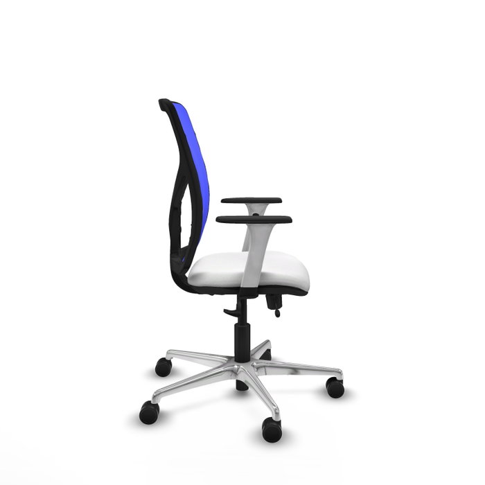 PIQUERAS Y CRESPO Silla de oficina Motilla con mecanismo Sincro/Traslack, Blanco y Azul PIQUERAS Y CRESPO Silla de oficina Motilla con mecanismo Sincro/Traslack, Blanco y Azul