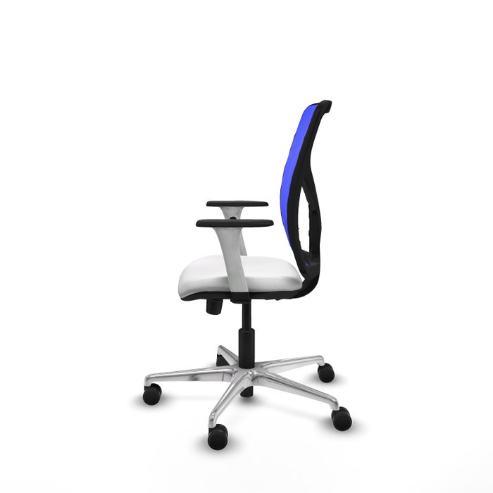 PIQUERAS Y CRESPO Silla de oficina Motilla con mecanismo Sincro/Traslack, Blanco y Azul PIQUERAS Y CRESPO Silla de oficina Motilla con mecanismo Sincro/Traslack, Blanco y Azul