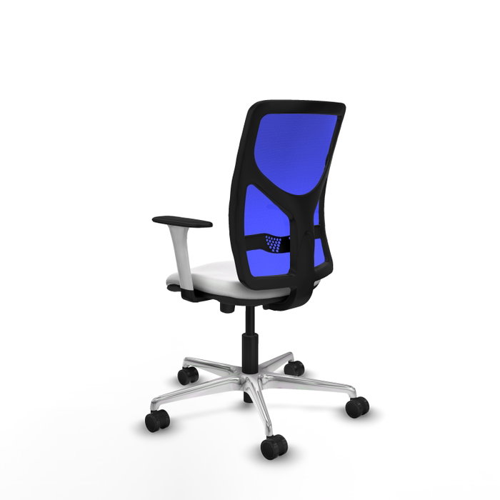 PIQUERAS Y CRESPO Silla de oficina Motilla con mecanismo Sincro/Traslack, Blanco y Azul PIQUERAS Y CRESPO Silla de oficina Motilla con mecanismo Sincro/Traslack, Blanco y Azul