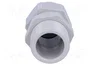 FIBOX Sello aislante M25 con rosca prolongada IP68 gris