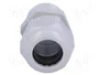 FIBOX Sello aislante M25 con rosca prolongada IP68 gris