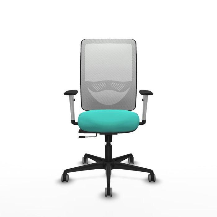 PIQUERAS Y CRESPO Silla de oficina Zulema con mecanismo Sincro/Traslack Turquesa y Blanco PIQUERAS Y CRESPO Silla de oficina Zulema con mecanismo Sincro/Traslack Turquesa y Blanco