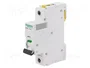 SCHNEIDER ELECTRIC Interruptor magnetotérmico iC60N 2A 1 Polo