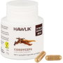 HAWLIK CORDICEPS extracto puro 60vcaps.