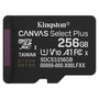 Kingston Canvas Select Plus 256 GB microSDXC A1