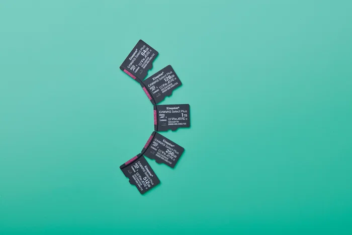 Kingston Canvas Select Plus 256 GB microSDXC A1