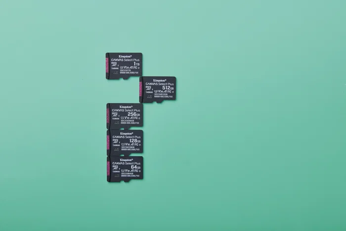 Kingston Canvas Select Plus 256 GB microSDXC A1