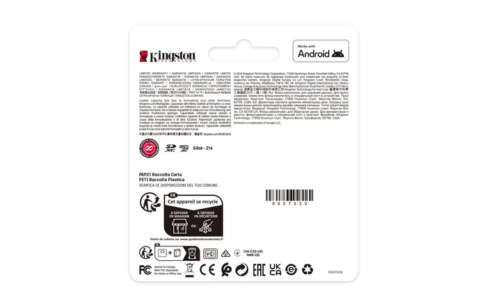 Kingston Canvas Select Plus 256 GB microSDXC A1