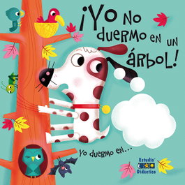 Yo no duermo en un árbol, Curious Universe - Estudio Didactico