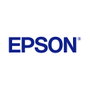 Epson Cartucho Negro claro T850700 Singlepack Light Black 80 ml