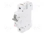 ETI POLAM Interruptor magnetotérmico ETIMAT 6 1P C63 63A 6kA