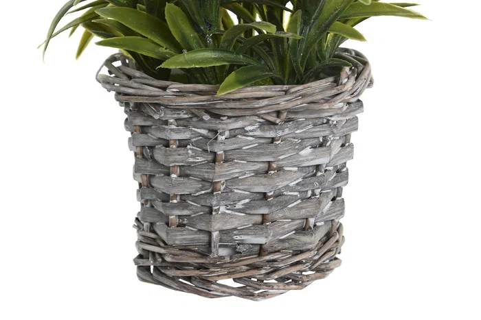 DKD Home Decor Planta de Lavanda con Pie de Madera Surtida DKD Home Decor Planta de Lavanda con Pie de Madera Surtida