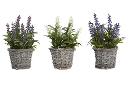 DKD Home Decor Planta de Lavanda con Pie de Madera Surtida