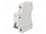 SIEMENS 5SL4116-6 Interruptor magnetotérmico 16A 1 Polo 10kA