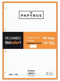Recambio Papyrus Unicolor1 A4 100H 90G 4 Taladros Cuad.5X5 Naranja (Set de 24)
