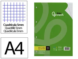 Liderpapel Recambio A4 100 Hojas Cuadriculado 5mm con Margen y 4 Taladros
