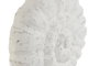 DKD Home Decor 7.5 x 38.5 x 29 cm Decoracion Mediterraneo Blanco Natural Mango Hierro Caracola