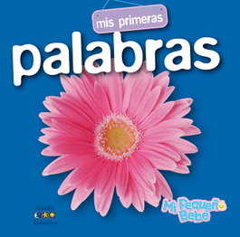 ESTUDIO DIDACTICO MIS PRIMERAS PALABRAS (MI PEQUEÑO BEBE)