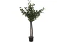 DKD Home Decor Árbol de Eucalipto Verde en Poliéster y Madera