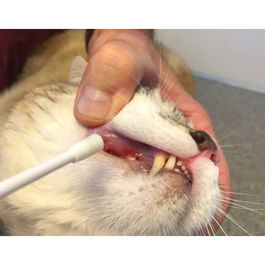 Doleonat 4 Perros y Gatos <10 kg 15 mL