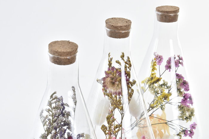 DKD Home Decor Decoración de Cristal con Flor Seca Multicolor