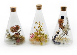 DKD Home Decor Decoración de Cristal con Flor Seca Multicolor