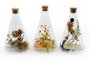 DKD Home Decor Decoración de Cristal con Flor Seca Multicolor