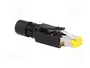 HARTING Conector RJ45 Cat 6 Blindado 8p8c IDC