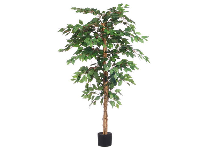 Ibergarden Maceta Ficus Mediana 30 x 160 x 30 cm Verde/Marrón/Negro (Set de 2)