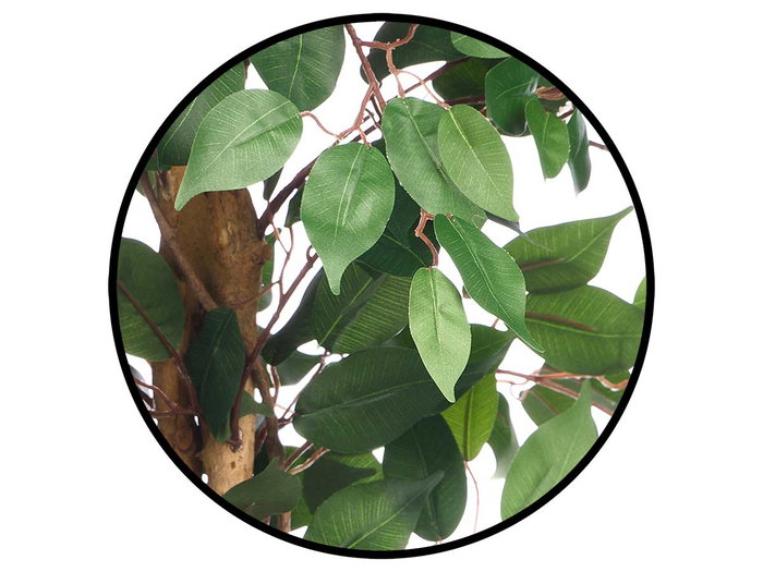 Ibergarden Maceta Ficus Mediana 30 x 160 x 30 cm Verde/Marrón/Negro (Set de 2)