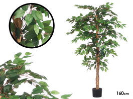 Ibergarden Maceta Ficus Mediana 30 x 160 x 30 cm Verde/Marrón/Negro (Set de 2)