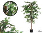 Ibergarden Maceta Ficus Mediana 30 x 160 x 30 cm Verde/Marrón/Negro (Set de 2)