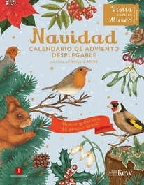 IMPEDIMENTA Navidad (El Chico Amarillo), Emily Carter