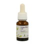 Forza Vitale PSC Ginkgo Biloba Bio 15ml