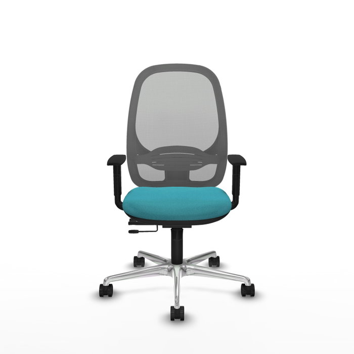 PIQUERAS Y CRESPO Silla de oficina Cilanco con mecanismo Sincro/Traslack Turquesa y Gris PIQUERAS Y CRESPO Silla de oficina Cilanco con mecanismo Sincro/Traslack Turquesa y Gris
