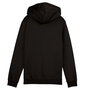 Sudadera con Capucha Niño Puma Essentials 2 Color No. 1 Low Negro