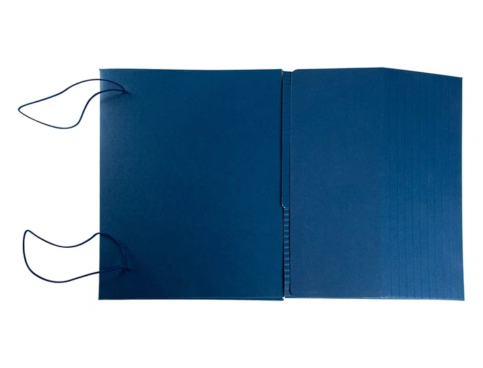 Liderpapel Carpeta Proyectos Extensible 0-11cm Folio Cartón Gofrado Colores Surtidos 250x330mm