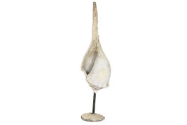 DKD Home Decor Decoración de Madera y Resina Beige con Soporte