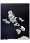 Space Usagi Yojimbo Black & White Ver. Scale Action Fig. 18 cm Usagi Yojimbo