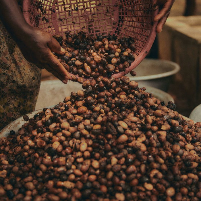 LOCCITANE Agua Micelar con Extracto de Karité 200 ml