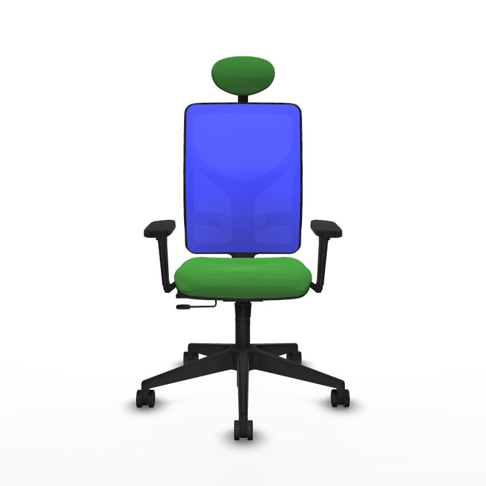 PIQUERAS Y CRESPO Silla de oficina Motilla con mecanismo Sincro/Traslack, Tela Verde y Malla Azul PIQUERAS Y CRESPO Silla de oficina Motilla con mecanismo Sincro/Traslack, Tela Verde y Malla Azul
